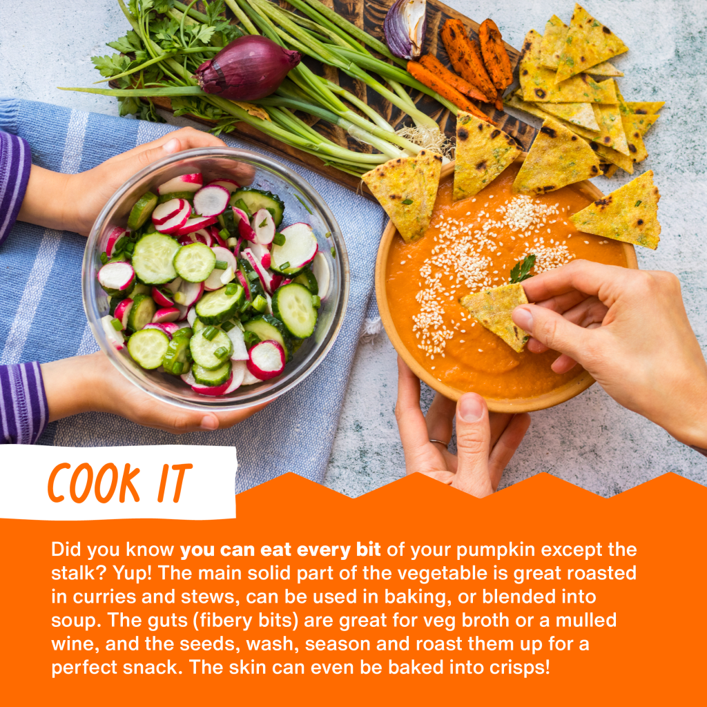Food Savvy Cook it pumpkin fact sheet